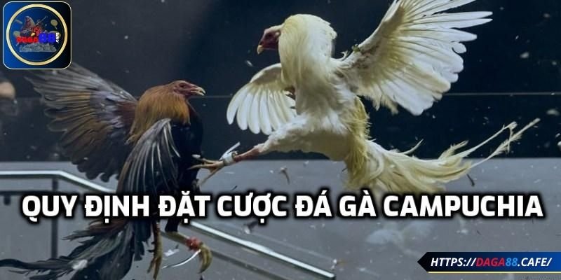 Nắm vững cách chơi chuẩn xác