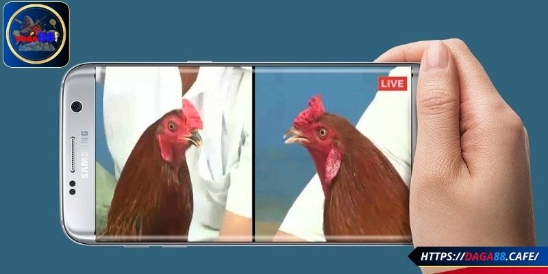 Lựa thời điểm cược hợp lý