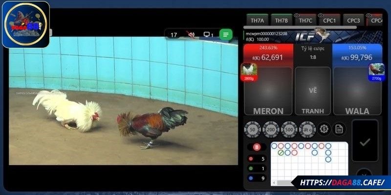 Thuật ngữ thường thấy ở đá gà trực tiếp tại DAGA88